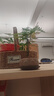 八芽文竹盆栽盆景植物室內客廳花卉辦公室桌面綠植好養活四季常青盆栽 文竹-蓮花盆-紫砂托盤(pán) 帶盆栽好 曬單實(shí)拍圖