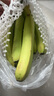 高山精品甜蕉現(xiàn)摘新鮮水果香蕉孕婦寶寶輔食搭配丫丫生鮮特產(chǎn) 2斤帶箱裝【青蕉發(fā)貨】 曬單實(shí)拍圖