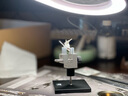 RAY STUDIORAY的模型世界分體式臺鉗小型虎鉗迷你精密手工家用高達模型工具 入門(mén)款RMV-02 無(wú)規格 曬單實(shí)拍圖
