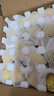 京鮮生   國(guó)產(chǎn)青啤梨 凈重4.5斤 單果150g+ 新鮮水果 源頭直發(fā) 曬單實(shí)拍圖