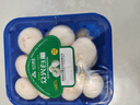 【綠色認證】鮮美白蘑菇230g 曬單實(shí)拍圖