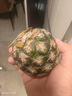 國產(chǎn)黑鉆鳳梨云南牛奶鳳梨新鮮水果手撕鳳梨非菠蘿 2個裝  單果650-900g 曬單實(shí)拍圖