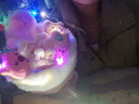 三彩熊玩偶花束生日禮物女生永生花伴手禮盒送女朋友教師七夕情人節(jié)禮物 曬單實(shí)拍圖