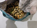 億迪貓糧凍干幼貓成貓全價全階段5斤布偶藍貓英短小包裝2.5kg 曬單實拍圖