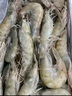 東上御品 國產(chǎn)青島大蝦 特大號白蝦 2030規格 凈重3斤 盒裝活凍 曬單實(shí)拍圖