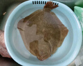 鮮活多寶魚(yú)450-550g/條 曬單實(shí)拍圖