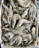 GUO LIAN國聯(lián)鹽凍大蝦 去冰凈重3斤 75-90只 盒裝活凍生鮮中秋海鮮家宴  曬單實(shí)拍圖