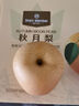 One's Member 山東老樹(shù)冰糖秋月梨 單果500g+ 果王 凈重7斤新鮮水果源頭直發(fā) 曬單實(shí)拍圖