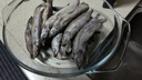 京東超市 海外直采挪威多春魚2斤(4*250g）40-50條 公母混合  燒烤魚類 曬單實(shí)拍圖