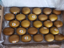 佳沛（zespri）新西蘭  陽光金奇異果25-27粒原箱特大果單果約122-146g  獼猴桃 曬單實拍圖