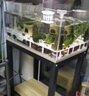 京業(yè)（JINGYE）魚(yú)缸增氧泵充電式YE-LD20款3W 家用魚(yú)缸氧氣泵戶(hù)外釣魚(yú)用 曬單實(shí)拍圖