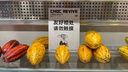 九陽(yáng)（Joyoung）電熱水瓶熱水壺 5L 七段保溫304不銹鋼內(nèi)膽 0膠水恒溫電水壺?zé)畨?K50-P611 曬單實(shí)拍圖
