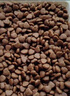 衛(wèi)仕膳食平衡全價(jià)全階段貓糧10kg 成貓幼貓通用貓糧貓咪食品 曬單實(shí)拍圖