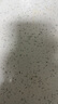 金鑼火腿腸 肉粒多黑豬肉香腸共320g 8支/盒 速食休閑零食露營燒烤款 曬單實(shí)拍圖