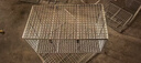 定制304不銹鋼籃子器械消毒筐長(cháng)方形網(wǎng)筐超聲波清洗網(wǎng)籃收納框籃 支持按需求定制尺寸(咨詢(xún)客服) 曬單實(shí)拍圖