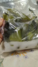 大連 鮮海帶 鹽漬裙帶菜梗  鹽漬海白菜裙帶菜蝦皮湯火鍋食材 鹽漬裙帶菜梗500g 曬單實(shí)拍圖