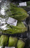 云南鮮生菜約400g 曬單實(shí)拍圖