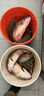 川澤線組主線全套進(jìn)口魚線成品線組套裝釣鯽魚競(jìng)技線組正品大物線組 4.5m【4卷裝】+收納盒剪刀 1.5號(hào) 曬單實(shí)拍圖