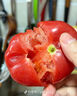 京鮮生沙瓤粉西紅柿 凈重3斤 單果100g+果菜兩吃 源頭直發(fā) 【搜生鮮館】 曬單實(shí)拍圖