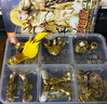 布魯可圣斗士星矢超越版黃金圣斗士天蝎座白羊座天蝎座節(jié)關(guān)可動(dòng) 白羊座-穆 曬單實(shí)拍圖