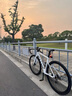 坎普 CAMPSR5公路車(chē)SR5 PRO 700C全內走線(xiàn)一體把油碟20速24S碳叉公路自行車(chē) 珍珠白 20速（送大禮包） 49碼（166-174CM，跨高757mm） 曬單實(shí)拍圖