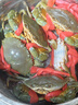 鹿凌青【活蟹】特大青蟹鮮活 超大母膏蟹公蟹青蟹肉蟹 紅膏母蟹 【公母混搭】2斤(4-6只)肉蟹 曬單實拍圖