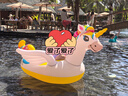 INTEX 57561獨角獸充氣坐騎 游泳圈成人兒童充氣玩具浮排浮床加厚水上 曬單實(shí)拍圖