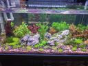 尼特利AT5S水草燈580S三代專業(yè)級全光譜led伸縮魚缸燈專用植物補(bǔ)光燈 曬單實(shí)拍圖