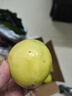 京鮮生廣西欽蜜9號黃金百香果 3斤凈重60-70g/21-27個生鮮水果 源頭直發(fā) 曬單實拍圖
