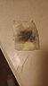 京嚴(yán)炒鍋鐵鍋無涂層炒菜不粘鍋精鐵極鐵平底鍋具燃?xì)怆姶艩t通用已開鍋 【千元品質(zhì)極鐵鍋】+可視玻璃蓋 32cm 不挑灶丨好養(yǎng)鍋｜德系精工 曬單實(shí)拍圖
