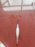 川澤一體成型夜光漂咬鉤變色高靈敏鯽魚(yú)漂醒目浮漂鰱鳙大物電子夜釣漂 升級款PL5-3(主攻鯽鯉)吃鉛2.5g 咬鉤變色款 曬單實(shí)拍圖