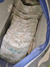 祺安熊貓乳木果油嬰兒護臀紙尿褲S碼60片超薄【品牌直供 安心品質(zhì)】 曬單實(shí)拍圖