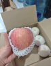 煙臺蘋果水果棲霞紅富士新鮮生鮮果山東特產(chǎn)脆甜 精品果 凈重4.5斤（果徑75mm以上） 曬單實拍圖