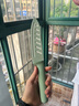 京東京造 陶瓷輔食刀 陶瓷刀廚房5.7寸三德刀切水果刀具蔬菜刀寶寶輔食 曬單實拍圖
