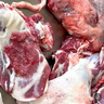 羋羊羊 灘羊肉 整根羊后腿凈重5斤生鮮羊腿整只 火鍋燒烤 清真 源頭直發(fā) 曬單實(shí)拍圖
