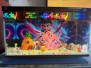米家（MIJIA）小米米家智能生態(tài)魚缸還原自然生態(tài)補倉一次三月無憂出差旅行必備 曬單實拍圖