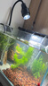 YEE魚(yú)缸射燈南美魚(yú)缸造景水草燈魚(yú)缸燈led魚(yú)燈夾燈智能燈可調焦16.8w 曬單實(shí)拍圖