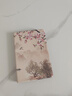 Apple 蘋果 iPad Mini 2/3/4/5/6/7代 2022/2021款 二手平板電腦 iPad mini5 曬單實拍圖