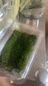 柯必達青苔蘚鮮活苔蘚微景觀植物盆景盆栽水陸缸假山草造景材料白 短絨蘚(15*8)cm 10盒 曬單實拍圖