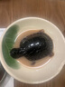 春娟寶寶霜40g經(jīng)典版兒童保濕滋潤秋冬季補水面霜老牌子國貨護膚品 40G*2瓶（經(jīng)典版+維生素E） 曬單實(shí)拍圖
