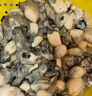 鮮活生蠔現(xiàn)剝生蠔肉新鮮牡蠣肉去殼純蠔仔肉海鮮水產(chǎn)京東包郵 1斤裝海蠣肉（100-120頭/斤） 曬單實(shí)拍圖