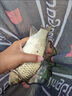 龍王恨魚(yú)餌藍鯽青春版餌料野釣鯽魚(yú)草魚(yú)餌料小肽蛋白黑坑鯉魚(yú)窩料魚(yú)料藍鯽青春版【1包300g】正品保證 曬單實(shí)拍圖