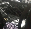 迪加倫 汽車(chē)前排座椅儲物擋網(wǎng)兜通用轎車(chē)SUV越野防護擋兒童隔離網(wǎng) 曬單實(shí)拍圖