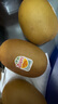 佳沛（zespri）新西蘭  陽光金奇異果25-27粒原箱特大果單果約122-146g  獼猴桃 曬單實拍圖