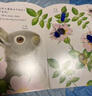 亮麗精美觸摸書(shū)-小兔比利（中英雙語(yǔ)）低幼認(rèn)知繪本 幼兒?jiǎn)⒚煞抡嬗|感觸摸書(shū) 【0-2歲】 寶寶繪本  省錢(qián)卡暑假作業(yè) 一升二暑假銜接 小升初暑假銜接 曬單實(shí)拍圖