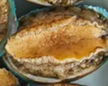 江船長(zhǎng) 冷凍鮑魚(yú) 凈重160g(18-22粒)袋裝 火鍋燒烤食材 海鮮生鮮 曬單實(shí)拍圖