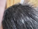 北京同仁堂1洗黑發(fā)黑靈芝何首烏洗發(fā)水白頭發(fā)轉養黑治發(fā)根養發(fā)自然黑洗發(fā)露 1瓶裝【何首烏靈芝養黑發(fā)】 曬單實(shí)拍圖