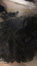 大連 鮮海帶 裙帶菜 海帶嫩苗兒童海白菜 海藻菜 大連鹽漬裙帶菜葉250g 曬單實拍圖