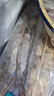 鮮京采內(nèi)蒙古孜然羊肉串凈重2斤 （50串）露營(yíng)戶外燒烤 京東自有品牌 曬單實(shí)拍圖