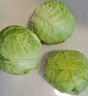新鮮甘藍包菜卷心菜新鮮嫩綠蓮花白現(xiàn)摘現(xiàn)發(fā)早餐減脂 新鮮包菜 1.5-2斤 人工挑揀 曬單實拍圖